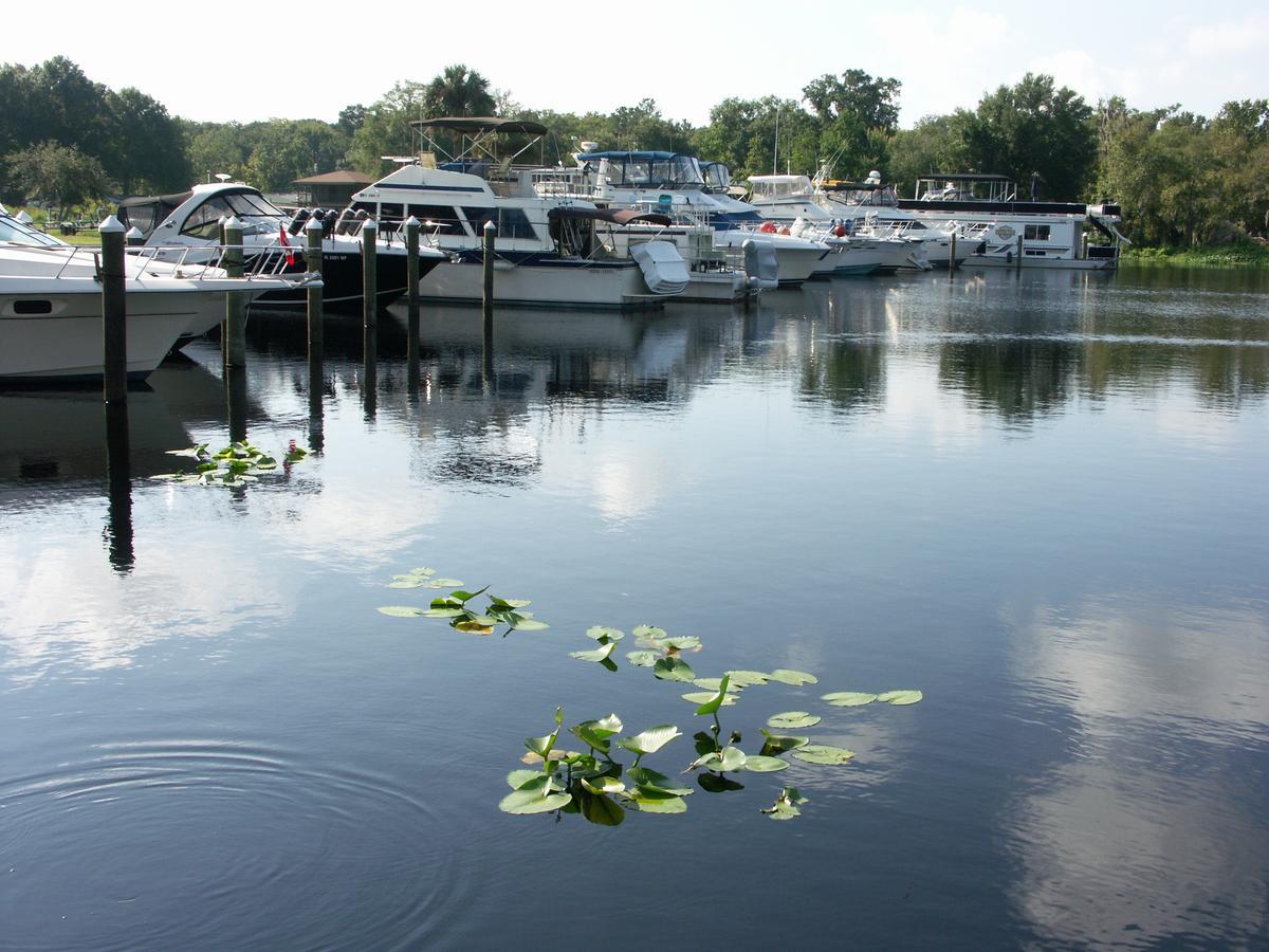 Big River Marina & Lodge Astor Eksteriør bilde